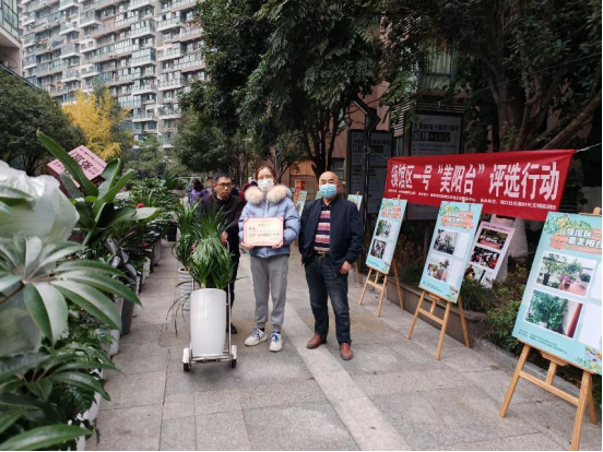 新闻通稿：领馆区一号“美阳台”评选行动25.png